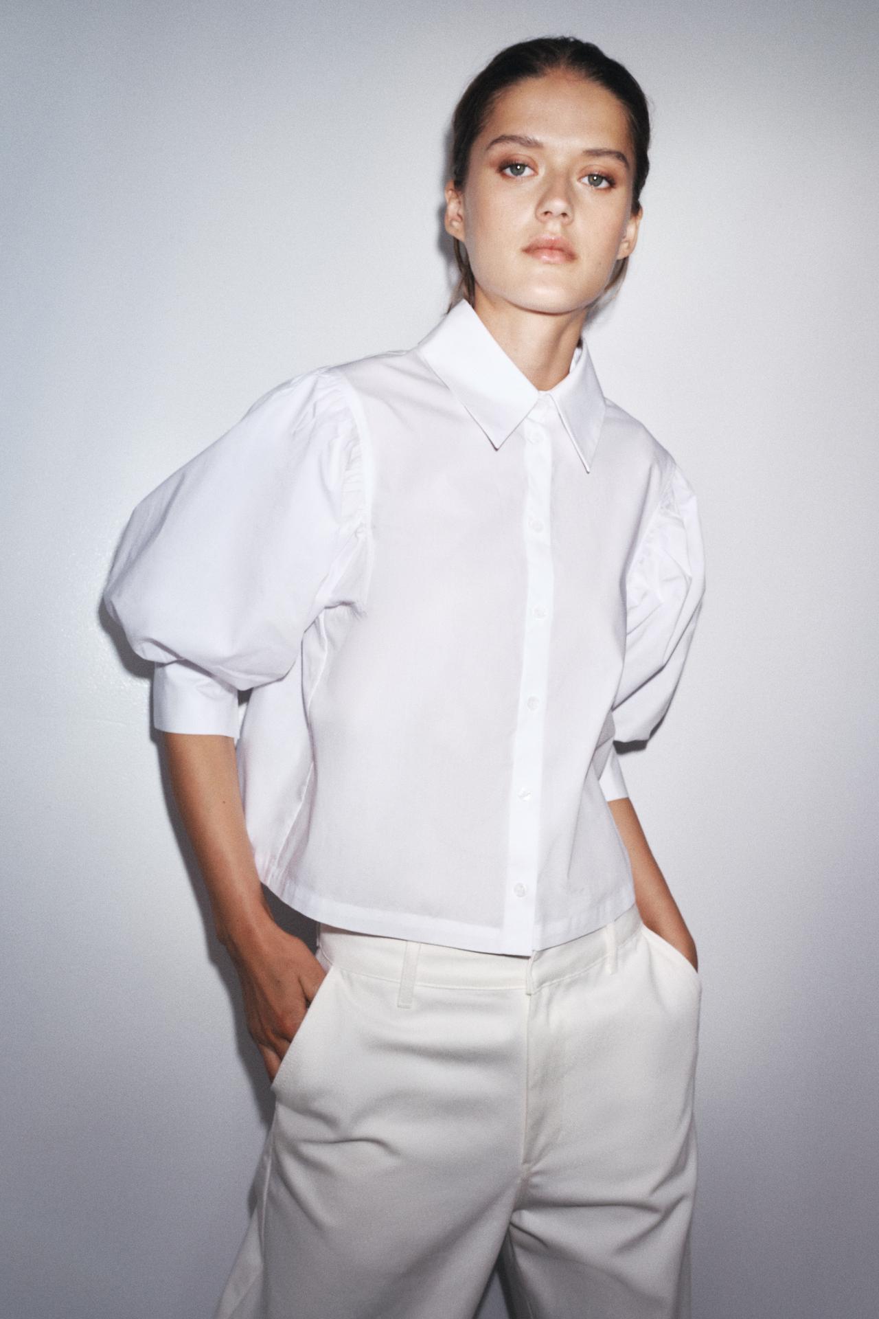 Poplin Button Downs