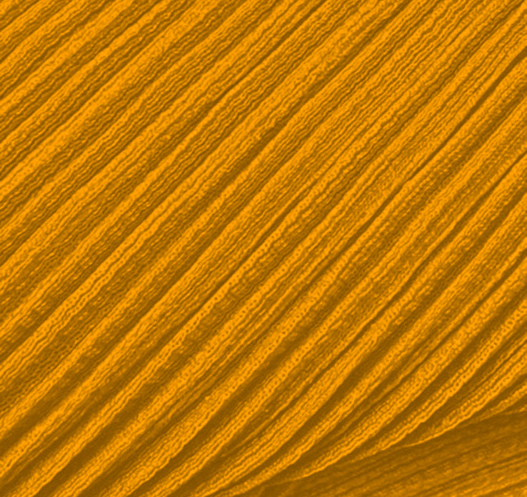 Ripple Set Sun